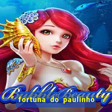 fortuna do paulinho do roupa nova